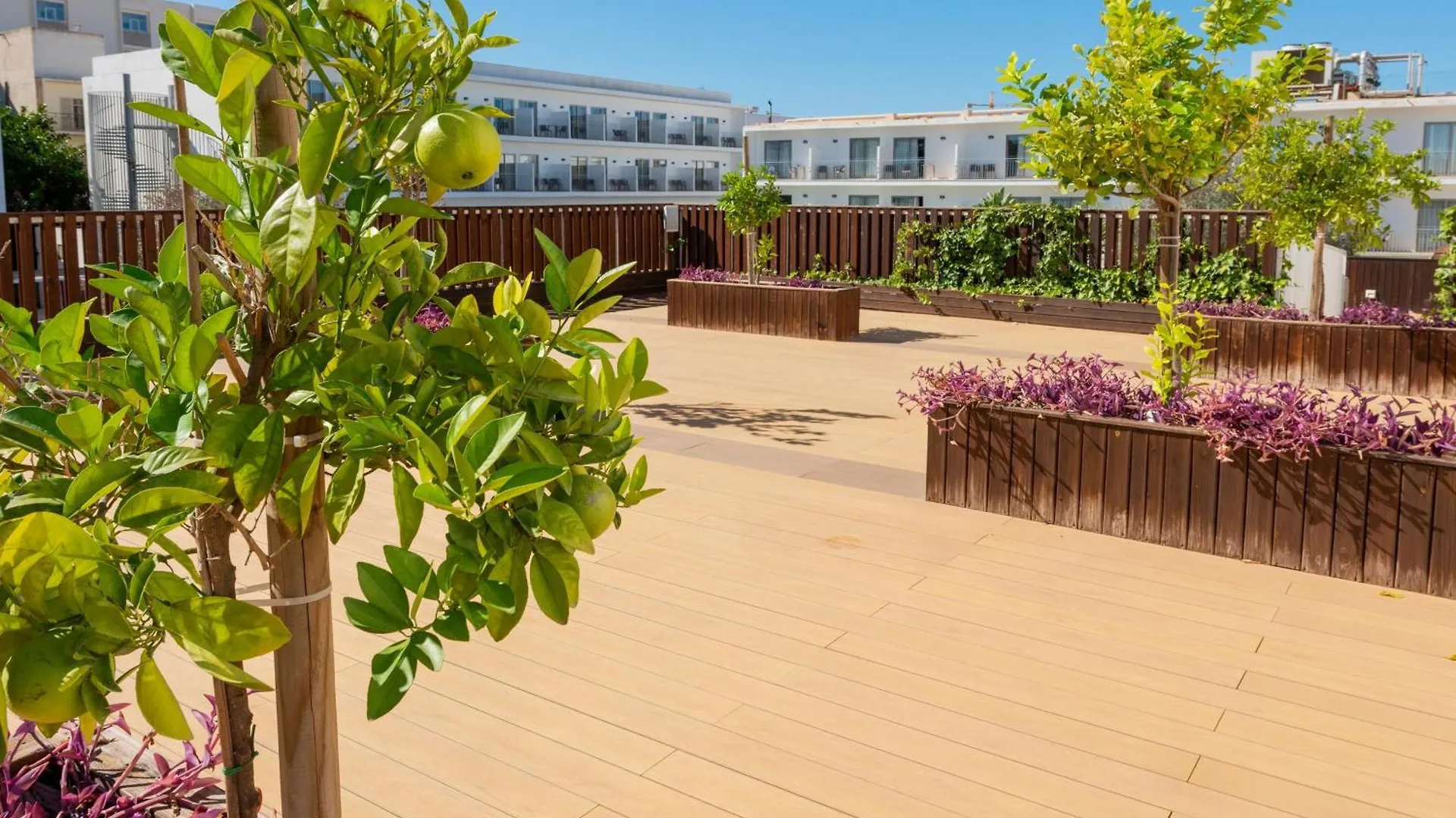 Hotel Puchet Ibiza San Antonio  San Antonio (Ibiza)