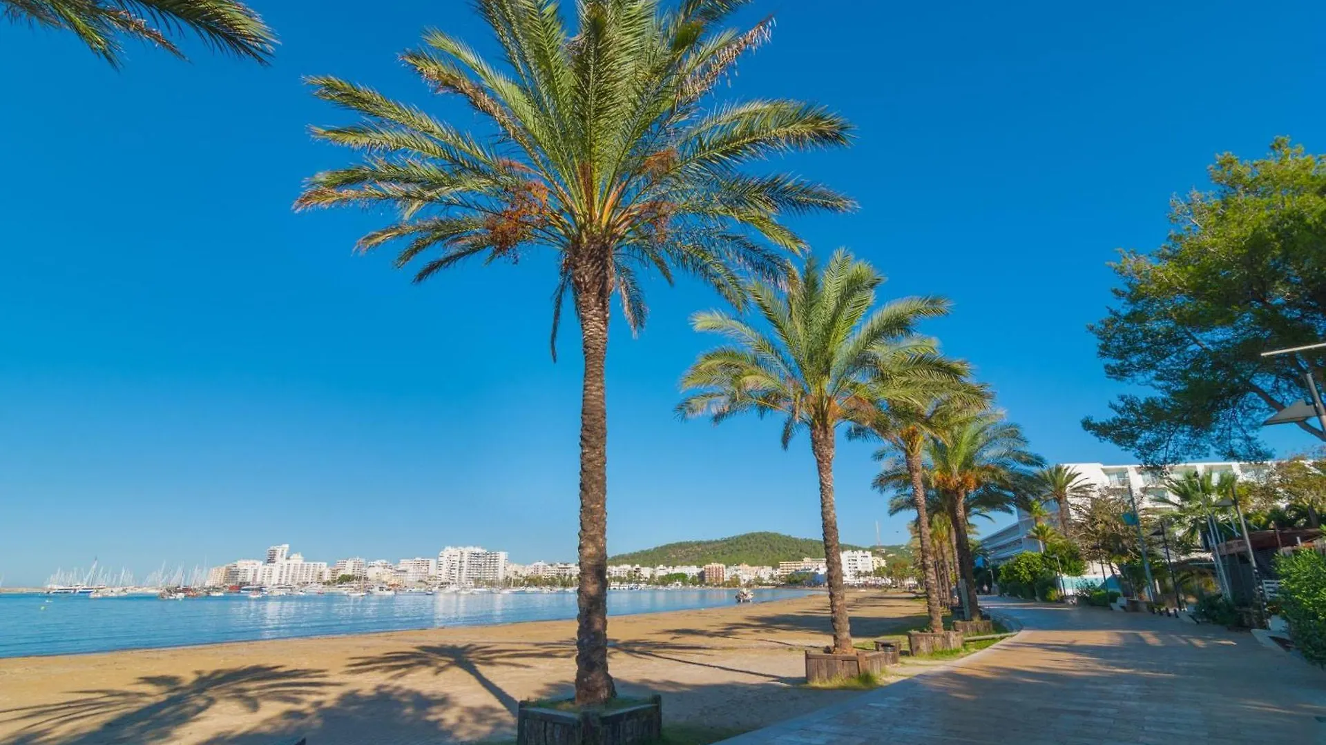 Hotel Puchet Ibiza San Antonio   San Antonio (Ibiza)